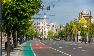 3.769 arbori cu balot au fost plantați la Cluj-Napoca în perioada 2023-2024