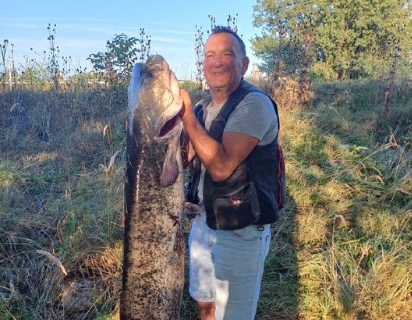 Captura zilei în Ardeal! Un pescar a prins un somn uriaș de 1,54 metri și 26 de kilograme