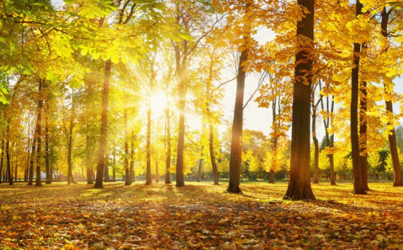 Prognoză nouă de la meteorologi! Cum va fi vremea în luna septembrie