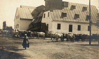 "Vederi din Cluj" (1902-1904). Calea Mănăștur