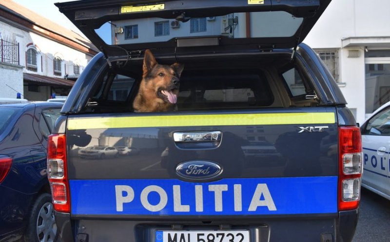 Poliția animalelor a amendat cinci primării din Cluj cu zeci de mii de lei