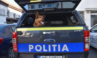 Poliția animalelor a amendat cinci primării din Cluj cu zeci de mii de lei