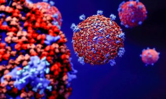 A fost descoperit un aticorp care poate proteja împotriva tuturor variantelor de coronavirus