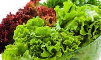 Dieta militară promite slăbirea în 3 zile. Care sunt alimentele permise, riscuri şi beneficii