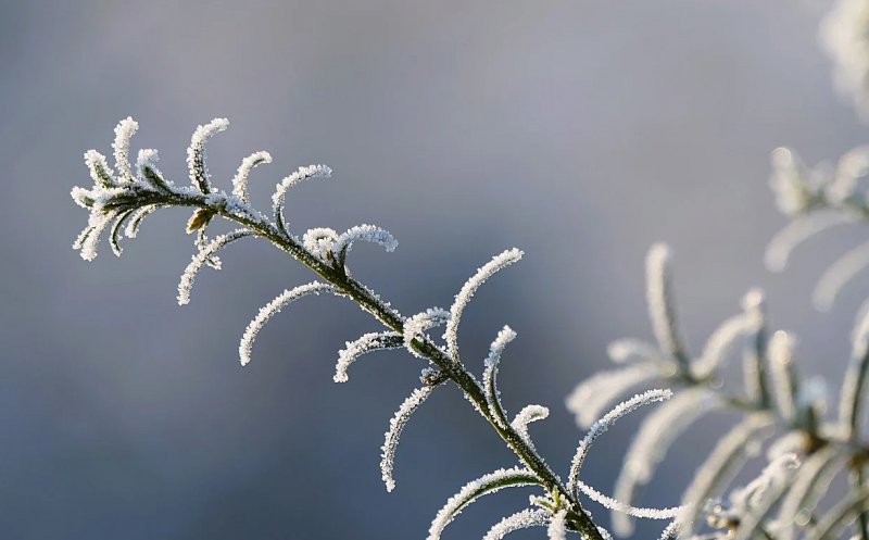 Sub zero grade Celsius la început de toamnă / Temperatura la Cluj în prima zi de şcoală