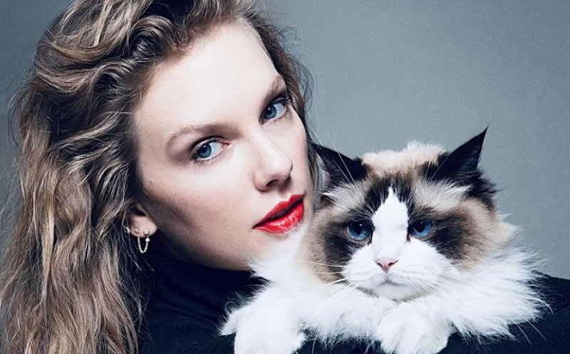 Taylor Swift: „Voi vota pentru Kamala Harris în alegerile prezidențiale din 2024”