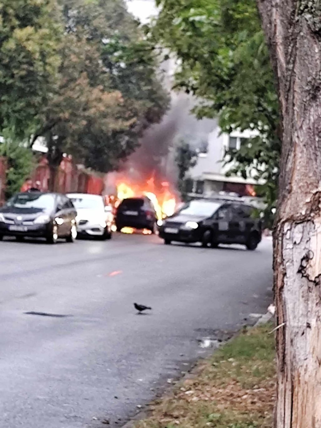 Mașină parcată pe o stradă din Cluj-Napoca, cuprinsă de flăcări! A ars ca o torță