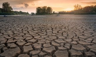 Până când și-ar putea amâna ratele fermierii afectați de secetă. Peste 150.000 au fost păgubiți