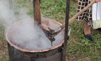 Festivalul Silvoiţei, sâmbătă şi duminică, la Vultureni, cu bunătăţi cum nu aţi mai gustat din copilărie / Autobuze din Cluj-Napoca, de la Flip