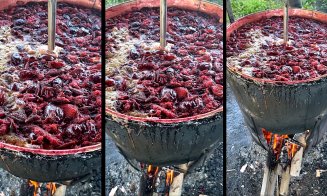 Festivalul Silvoiţei, sâmbătă şi duminică, la Vultureni, cu bunătăţi cum nu aţi mai gustat din copilărie / Transport, din Cluj-Napoca