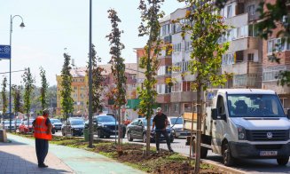 A început plantarea arborilor în zona centrală din Turda