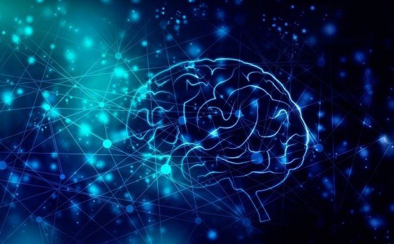 Cercetătorii clujeni în neuroștiințe au dezvoltat o metodă revoluționară care ajută la înțelegerea creierului