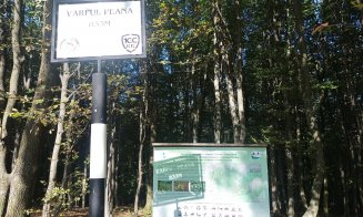Poveste de toamnă pe Inelul Verde Metropolitan / "Copacii se luau la trântă cu tot felul de arătănii"