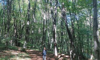 Poveste de toamnă pe Inelul Verde Metropolitan / "Copacii se luau la trântă cu tot felul de arătănii"