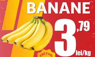 Auchan marchează 18 ani de la deschiderea primului magazin și sărbătorește, alături de clienți, cu peste 1.000 de oferte și reduceri senzaționale
