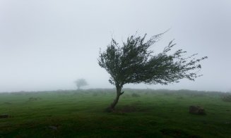 Atenționare meteo de vânt puternic în Cluj! Rafalele pot ajunge până la 110 km/h