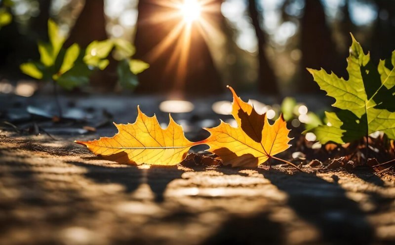 Veste bună de la meteorologi. Cum se va schimba vremea după ploile din weekend