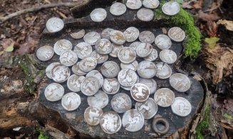 Comoară istorică, veche de 2.400 de ani, descoperită într-o pădure. Monedele ar data din sec. IV – III înainte de Hristos