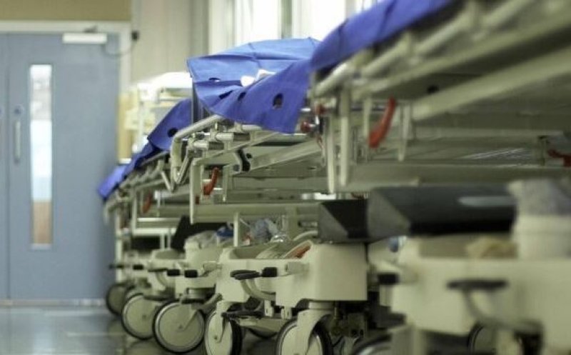 Au mai murit trei români infectați cu West Nile/ Clujul, printre zonele cu cele mai multe îmbolnăviri