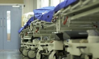 Au mai murit trei români infectați cu West Nile/ Clujul, printre zonele cu cele mai multe îmbolnăviri