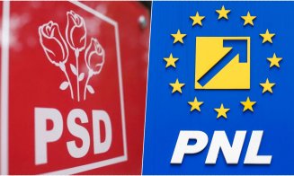 Mircea Abrudean: "PSD este principalul adversar politic al PNL" / Ce spune despre proxy-candidații PSD