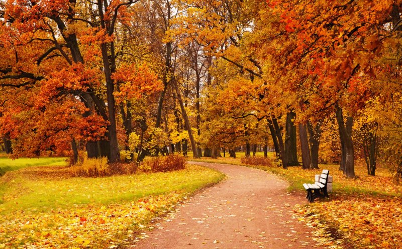 Toamna își intră serios în rol! Prognoza meteo până la jumătatea lui noiembrie