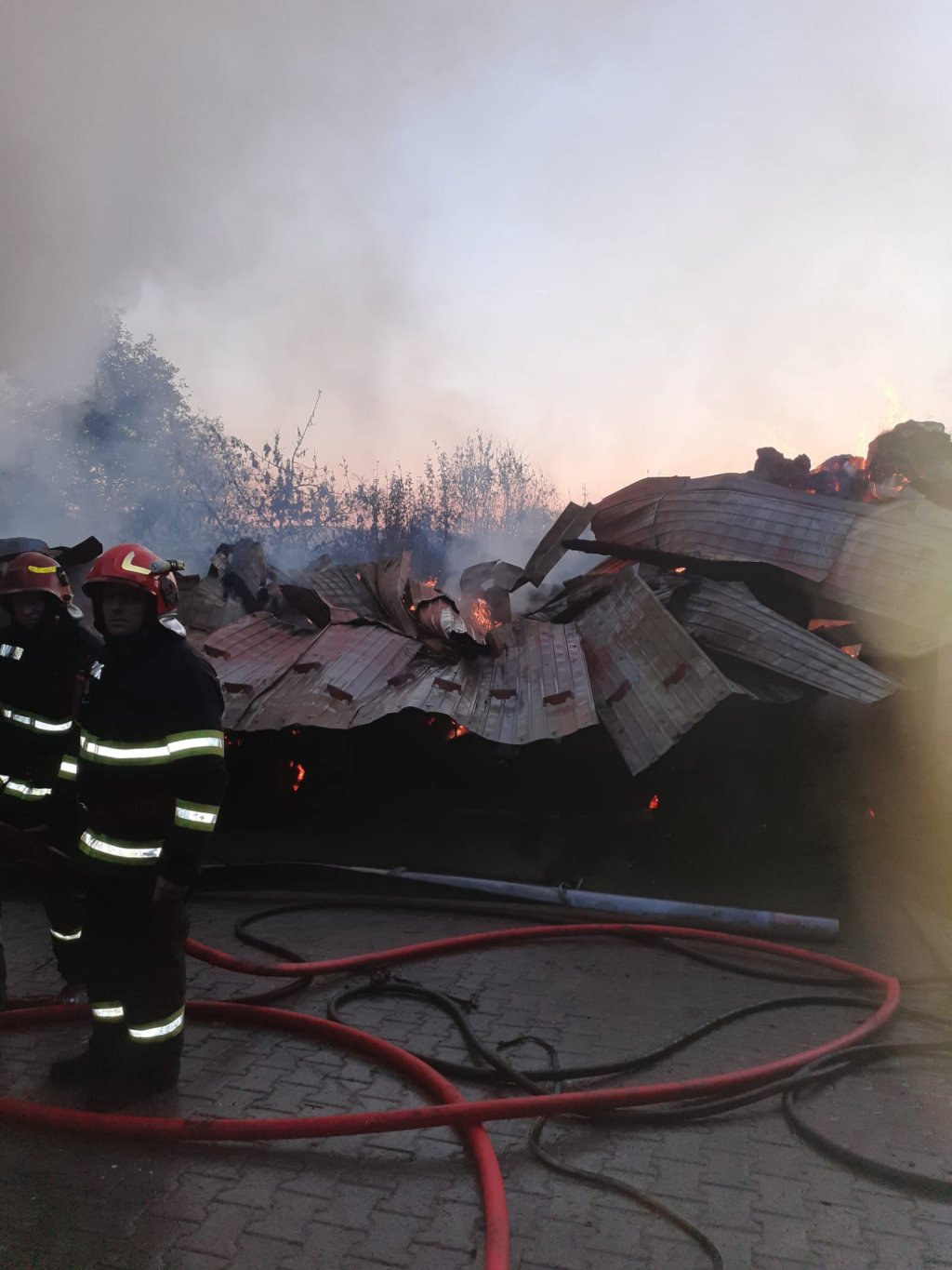 INCENDIU la o gospodărie din judeţul Cluj / Proprietarul a reușit să evacueze animalele înainte de a fi pârjolite