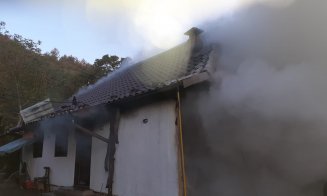 INCENDIU la o gospodărie din judeţul Cluj / Proprietarul a reușit să evacueze animalele înainte de a fi pârjolite de flăcări