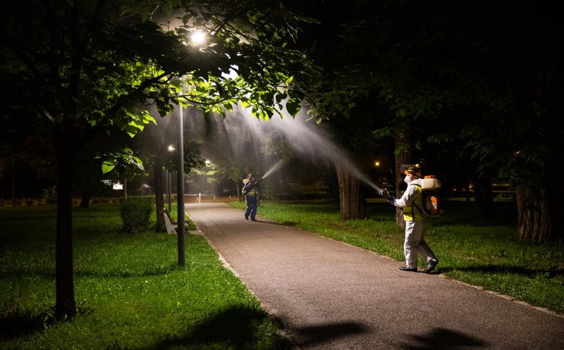 Tratamente fitosanitare pentru arborii din Cluj-Napoca. Între ce ore se desfășoară și cât durează