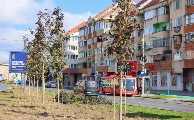 La Turda, continuă plantarea arborilor pe Coridorul Central / Primarul Cristian Matei: „Un oraș verde e un oraș frumos”