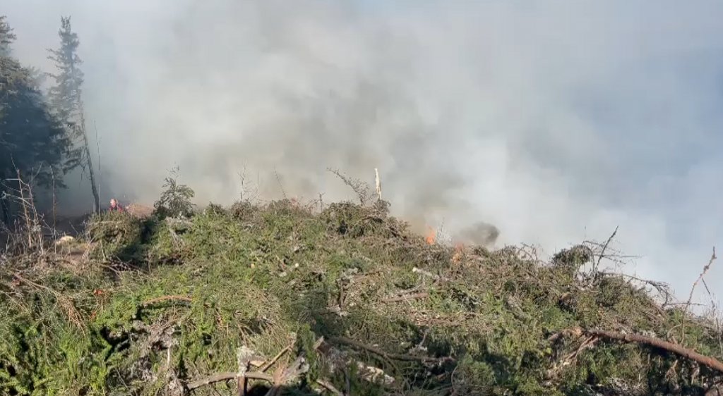 Incendiu puternic în Ardeal: Aproape 100 de oameni au fost mobilizați și un elicopter DSU