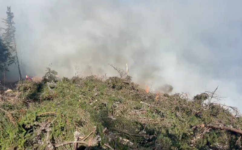 Incendiu puternic în Ardeal: Aproape 100 de oameni au fost mobilizați și un elicopter DSU