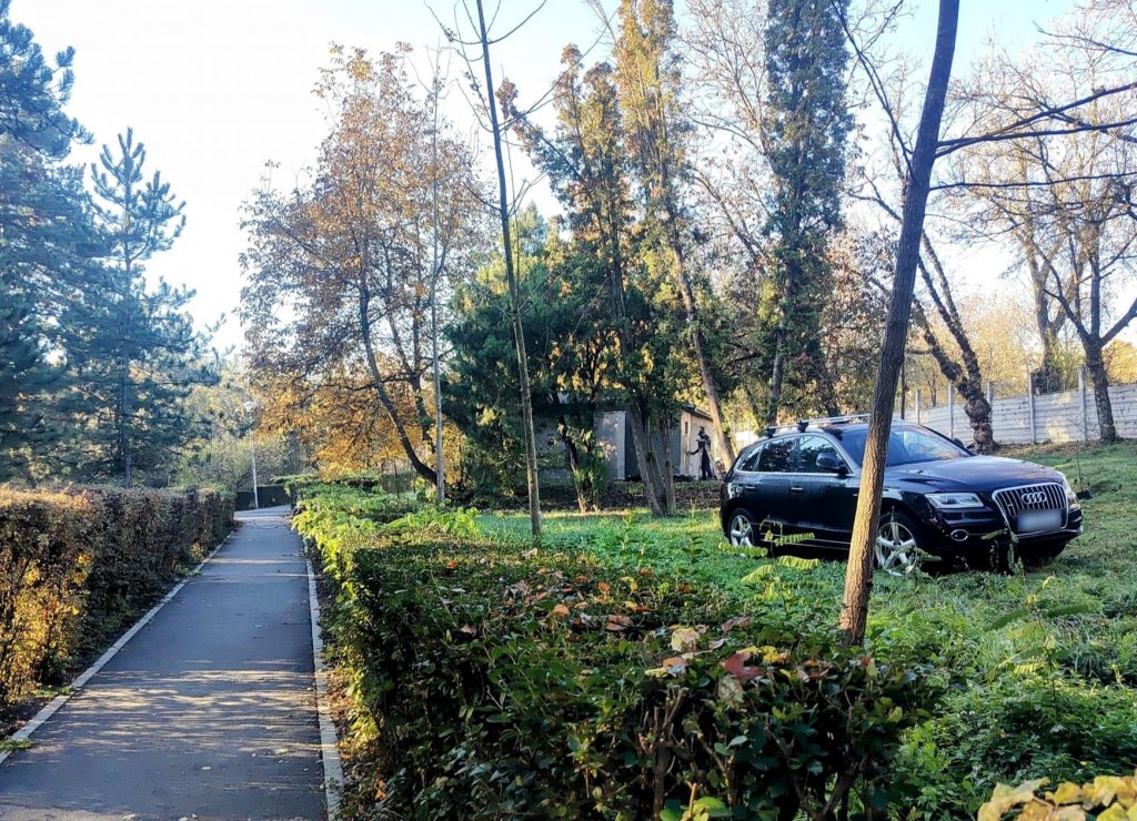Primul loc de parcare "eco-friendly" din Cluj: Un șofer și-a lăsat mașina pe spațiul verde dintr-un parc