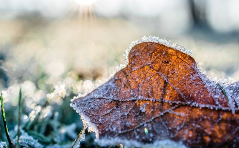 Schimbare bruscă a vremii. Un val de aer polar va aduce temperaturi mai mici chiar și cu 13 grade