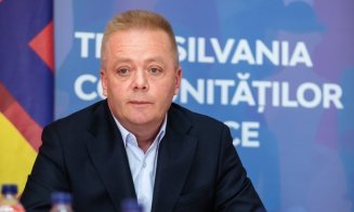 Ioan Oleleu: Alin Tișe pedepsește compania Tetarom pentru că are succes (P)