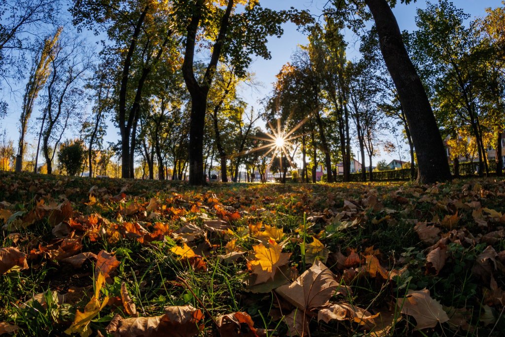 În luna noiembrie, mai multe precipitații decât în octombrie / Care vor fi temperaturile în Transilvania