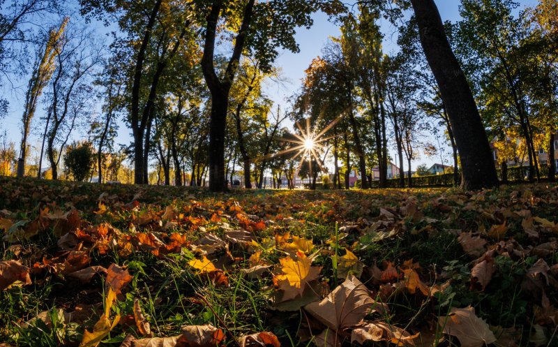 În luna noiembrie, mai multe precipitații decât în octombrie / Care vor fi temperaturile în Transilvania