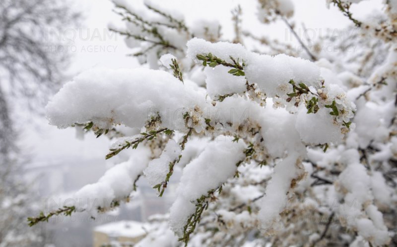 Vremea se schimbă radical. Meteorologii anunță şi NINSORI