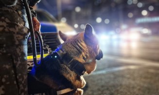 Razie de amploare în Cluj cu peste 150 de polițiști și jandarmi: amenzi de zeci de mii de lei aplicate în doar patru ore