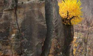 Cui nu-i plac poveștile, mai ales cele spuse cu talent de însăși Mama Natură! Meteora de Ardeal, un loc de basm, la o oră şi jumătate de Cluj-Napoca