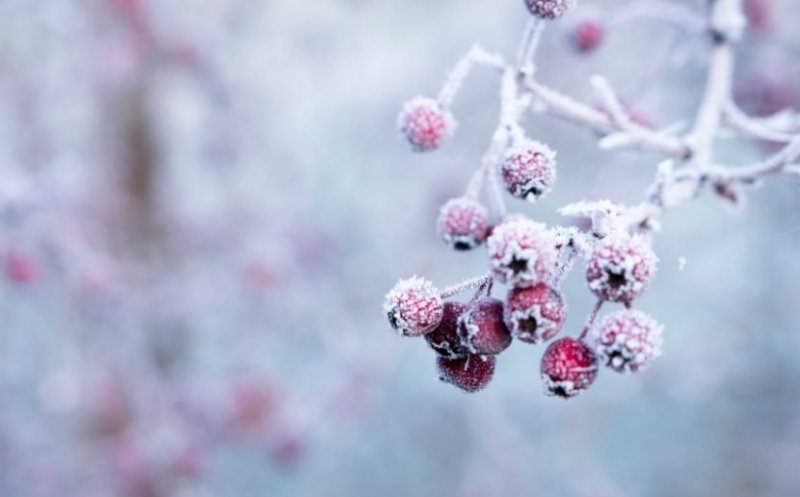 Meteorologii vin cu o nouă prognoză! Se instalează deja iarna?