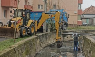Acțiune de curățenie într-o zonă cu probleme din Florești. Primarul: „Ne dorim un mediu curat și sănătos pentru toți cetățenii”