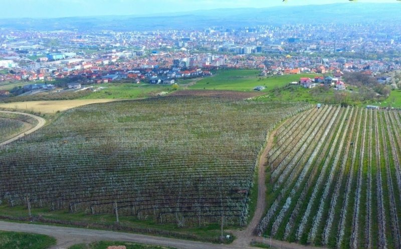 Locuințe pe 3.3 ha din Ferma Steluța / Cifră de faceri de 8.4 milioane lei în 2023