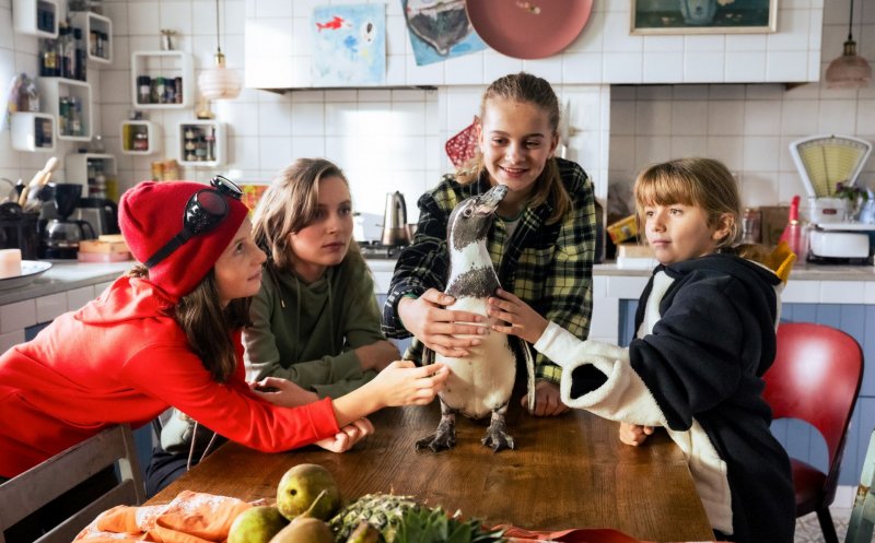 Mini TIFF dă startul marilor surprize: premiere de filme și ateliere pentru copii și adolescenți, în prima ediție a festivalului