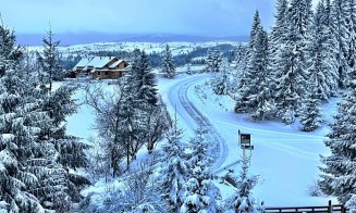 A venit iarna la Cluj! S-a depus prima zăpadă din acest an, în zona de munte
