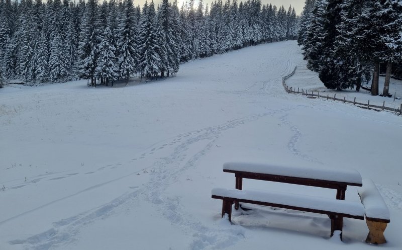Liber la săniuș în Băișoara! A nins, vine weekendul și se deschide pârtia