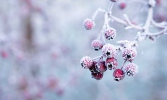 Prognoza meteo pe patru săptămâni. Cum va fi vremea de Crăciun