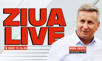 BĂTĂLIA PENTRU PARLAMENT | Horea Chirteș (PSD), invitat la ZIUA LIVE