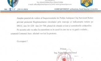 "Linie întreruptă, la pachet cu parapet": Propunerea Primăriei Jucu după ce IGPR şi DRDP le-au blocat drumul