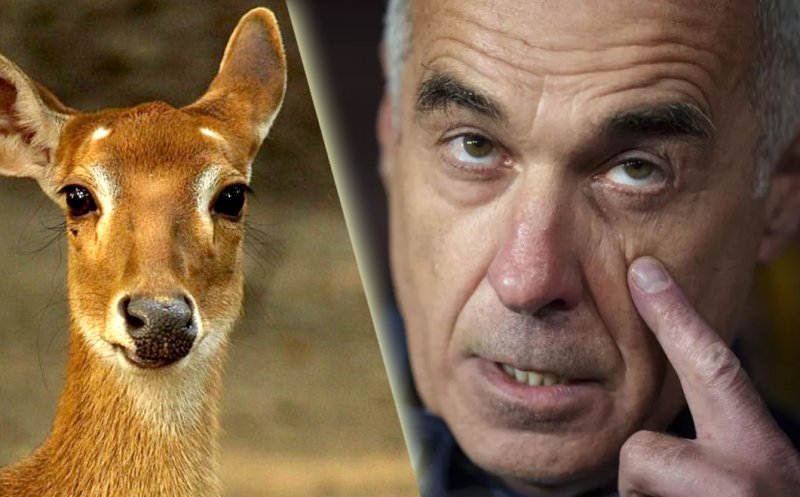Pro-rusul Georgescu declară război saloanelor de înfrumusețare. A comparat femeia cu un animal, care nu se duce la pensat